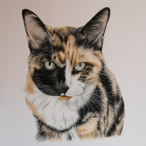 May include: A detailed colored pencil drawing of a calico cat's face. The cat has green eyes, black, orange, and white fur. The artwork is on a white background, showcasing the cat's features.