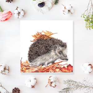carte de vœux hérisson - carte vierge - carte de la faune d’automne