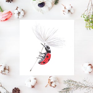 tarjeta de felicitación ladybird en dandilion wish