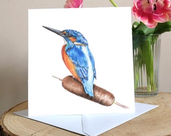 Cartão de cumprimentos em branco do Kingfisher