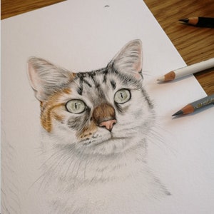 May include: A detailed colored pencil drawing of a cat's face. The cat has green eyes, a pink nose, and a mix of gray, brown, and white fur. Three colored pencils are visible in the background, suggesting the drawing is in progress. The cat's expression is alert and focused.