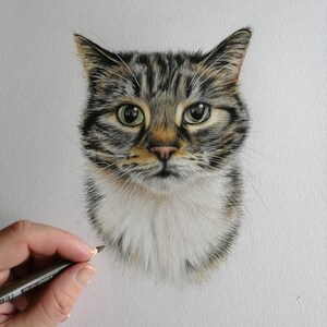 May include: Detailed pencil drawing of a tabby cat's face. The cat has green eyes, a pink nose, and a mix of brown, gray, and white fur. The artist's hand and pencil are visible in the image.