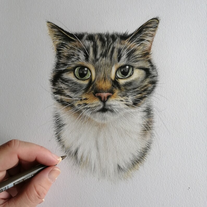 May include: Detailed pencil drawing of a tabby cat's face. The cat has green eyes, a pink nose, and a mix of brown, gray, and white fur. The artist's hand and pencil are visible in the image.