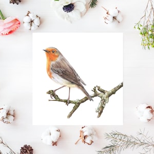 Carte Robin, carte oiseau robin, carte de vœux robin, carte oiseau, cadeaux oiseau
