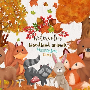 Imágenes prediseñadas de animales del bosque, animales del bosque de acuarela, ilustraciones de imágenes prediseñadas de animales del bosque, imágenes prediseñadas de acuarela PNG, imágenes prediseñadas de animales de otoño