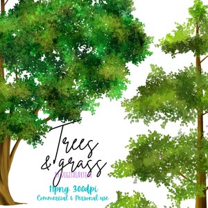 Trees clipart - forest clipart - Realistic forest clipart - bushes - shrubs- grass border - commercial use - Greenery clipart watercolor