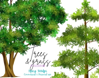 Trees clipart - forest clipart - Realistic forest clipart - bushes - shrubs- grass border - commercial use - Greenery clipart watercolor
