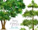 Trees clipart - forest clipart - Realistic forest clipart - bushes - shrubs- grass border - commercial use - Greenery clipart watercolor 
