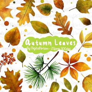Herbstblätter Clipart - Herbstblätter Clipart - Orangenblätter - Ahornblätter, Kiefer, kommerzielle Nutzung,