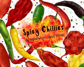Chilli Peppers clipart - Hot spicy chillies clipart - Carolina Reaper - Ghost pepper - Jalapenio - Cayene - spices - Food clipart - scoville