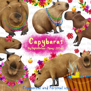 Capybara clipart - Zen capybara clipart - Cute hamster clipart - Rodent clipart - Capybara svg png - South American animals - Digital Artem