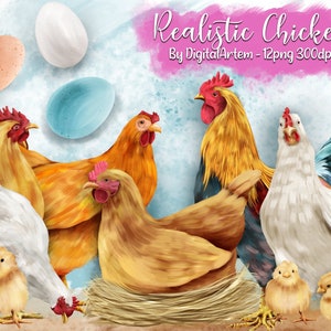 Chicken Clipart Realistic chickens - Watercolor chicken clipart - Farmhouse chickens -Eggs -Chicks - Hen clipart - Rooster clipart