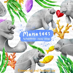 Manatee clipart - Cute manatee clipart set - Manatee png clipart - Ocean clipart - Sea life clipart - Manatee clipart vector - Digital Artem