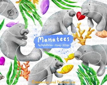 Manatee clipart - Cute manatee clipart set - Manatee png clipart - Ocean clipart - Sea life clipart - Manatee clipart vector - Digital Artem