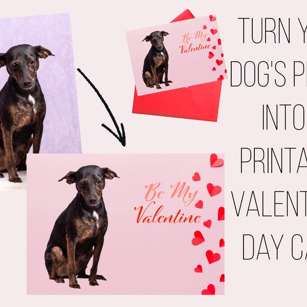 Dog Valentine Day Cards, Custom Valentines Day Cards, Dog Valentines Day Gift, Personalized Pet Card from Photo, Digital Download Printable