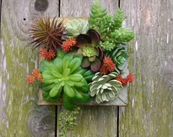 Succulent Arrangement, Faux Succulent Wall Hanging 7.5" in Metal Box, Succulent Wall, Boho Decor, Farmhouse Decor, Vertical Garden