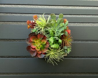 Succulent Arrangement, Faux Succulent Wall Hanging Arrangement in Wood Box, Wall Decor, Vertical Garden, Succulent Planter, Boho Decor