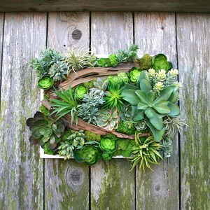 Succulent Arrangement, Faux Succulent Wall Hanging 15 Arrangement, Wall Decor, Vertical Garden, Succulent Planter, Wall Decor, Boho Decor image 1