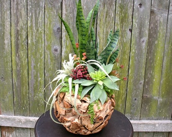 Large Faux Succulent Arrangement, 31" Wooden Bowl Faux Succulent Arrangement, Large Centerpiece, Gift, Summer Decor, Succulent Planter,