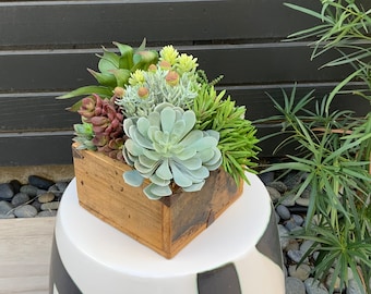 Succulent Arrangement, Faux Succulent Centerpiece, Boho Decor, Faux Succulent, Faux Succulent Planter in Vintage Chinese Box, Floral, Gift