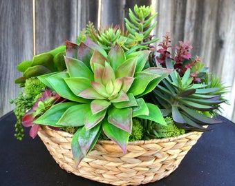 Succulent Arrangement, Large Seagrass Basket Faux Succulent Arrangement, Centerpiece, Home Gifts, Summer Decor, Succulent Planter