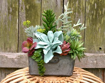 Succulent Arrangement, Faux Succulent Planter in Vintage Metal Planter, Centerpiece, Succulent Centerpiece, Farmhouse Decor, Boho Decor