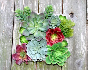 Succulent Arrangement, Faux Succulent Wall Hanging 10" Arrangement, Wall Decor, Vertical Garden, Succulent Planter, Summer Decor, Boho Decor