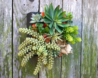 Succulent Arrangement, Faux Succulent Wall Hanging 8" Arrangement, Wall Decor, Vertical Garden, Succulent Planter, Wall Decor, Boho Decor