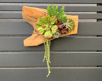 Succulent Arrangement, Faux Succulent Cedar Wood Arrangement, Wall Decor, Vertical Garden, Succulent Planter, Summer Decor, Boho Decor