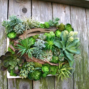 Succulent Arrangement, Faux Succulent Wall Hanging 15 Arrangement, Wall Decor, Vertical Garden, Succulent Planter, Wall Decor, Boho Decor image 5