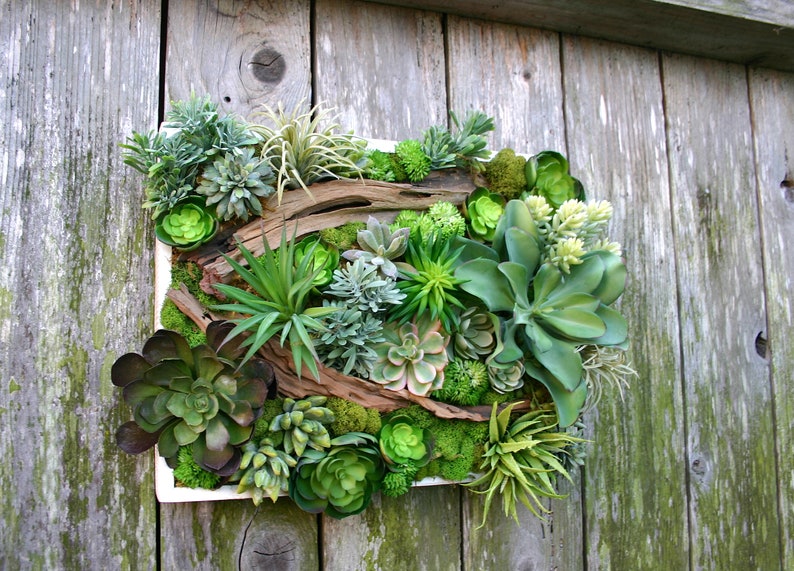 Succulent Arrangement, Faux Succulent Wall Hanging 15 Arrangement, Wall Decor, Vertical Garden, Succulent Planter, Wall Decor, Boho Decor image 5