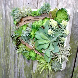 Succulent Arrangement, Faux Succulent Wall Hanging 15 Arrangement, Wall Decor, Vertical Garden, Succulent Planter, Wall Decor, Boho Decor image 2