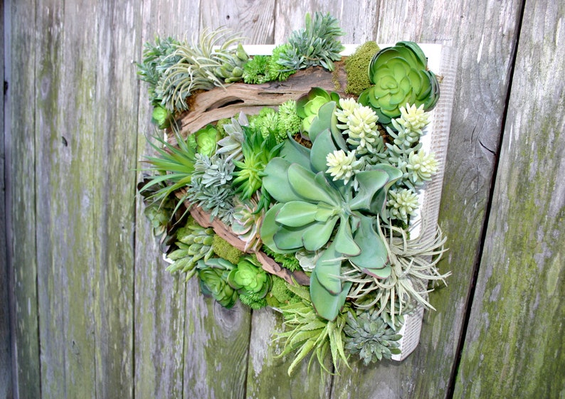 Succulent Arrangement, Faux Succulent Wall Hanging 15 Arrangement, Wall Decor, Vertical Garden, Succulent Planter, Wall Decor, Boho Decor image 2