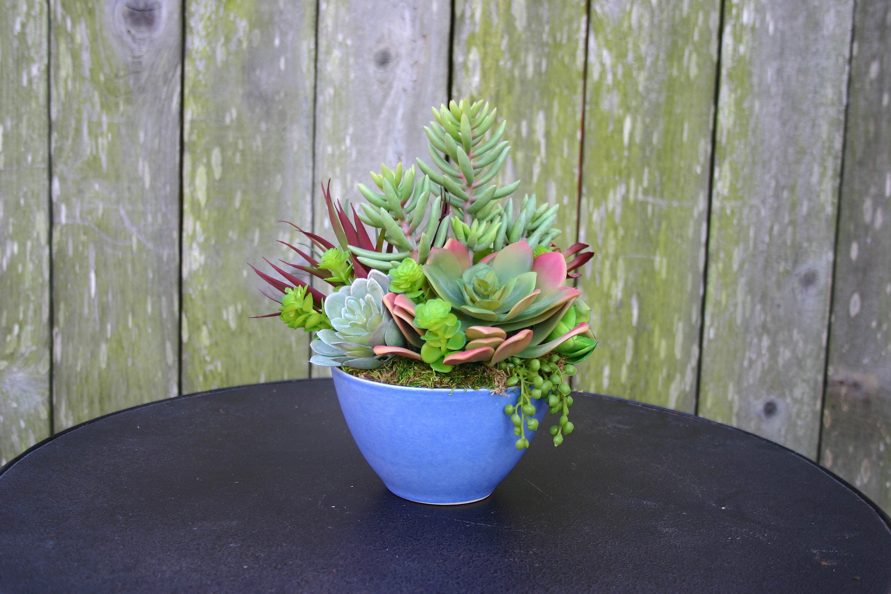 Faux Succulent Arrangement Modern Blue Pot Succulent Etsy