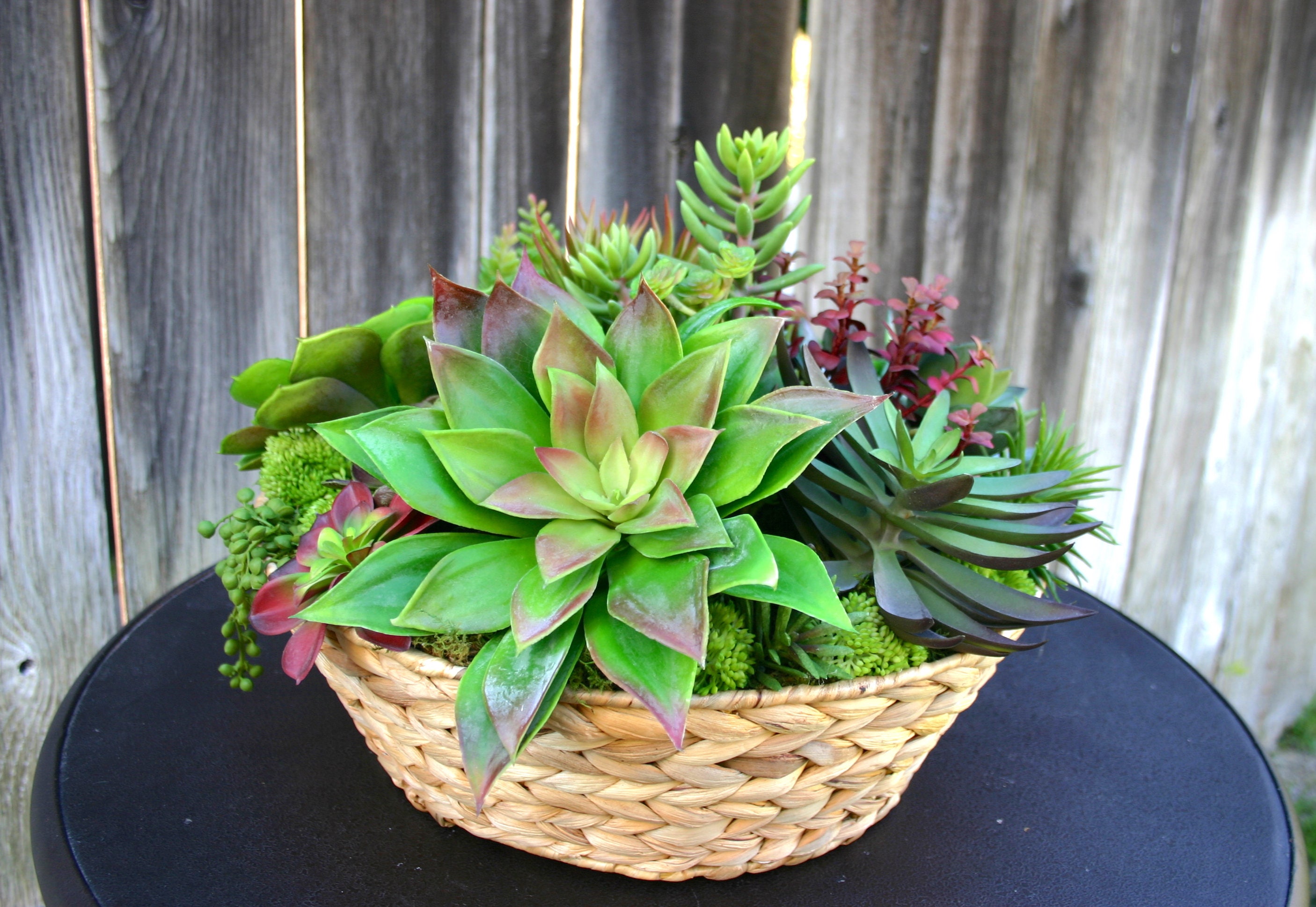 Succulent Arrangement Large Seagrass Basket Faux Succulent Etsy