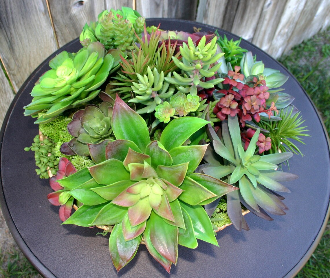 Succulent Arrangement Large Seagrass Basket Faux Succulent Etsy