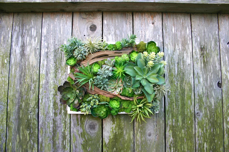 Succulent Arrangement, Faux Succulent Wall Hanging 15 Arrangement, Wall Decor, Vertical Garden, Succulent Planter, Wall Decor, Boho Decor image 4