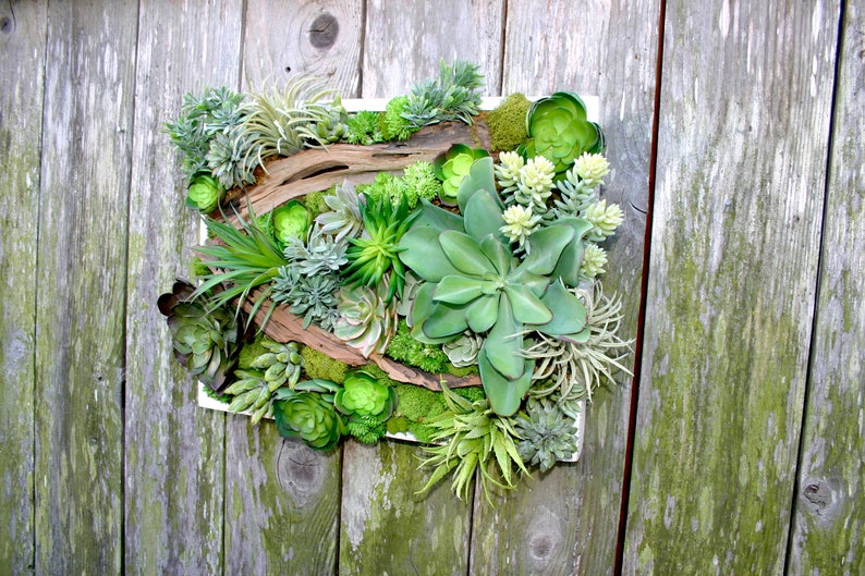 Succulent Arrangement, Faux Succulent Wall Hanging 15 Arrangement, Wall Decor, Vertical Garden, Succulent Planter, Wall Decor, Boho Decor image 6