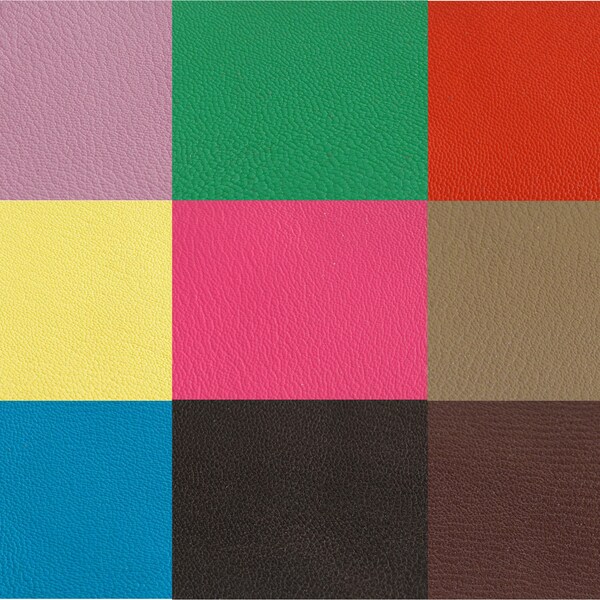 Grained goat leather coupon - 9 colors to choose from - Size: 15 cm x 10 cm