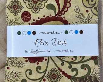 Fresh Squeezed Charm Pack by Sandy Gervais for Moda - Etsy