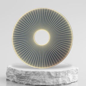 100mm Scalar Wave torus energy disc, radionics disc, scalar wave antenna