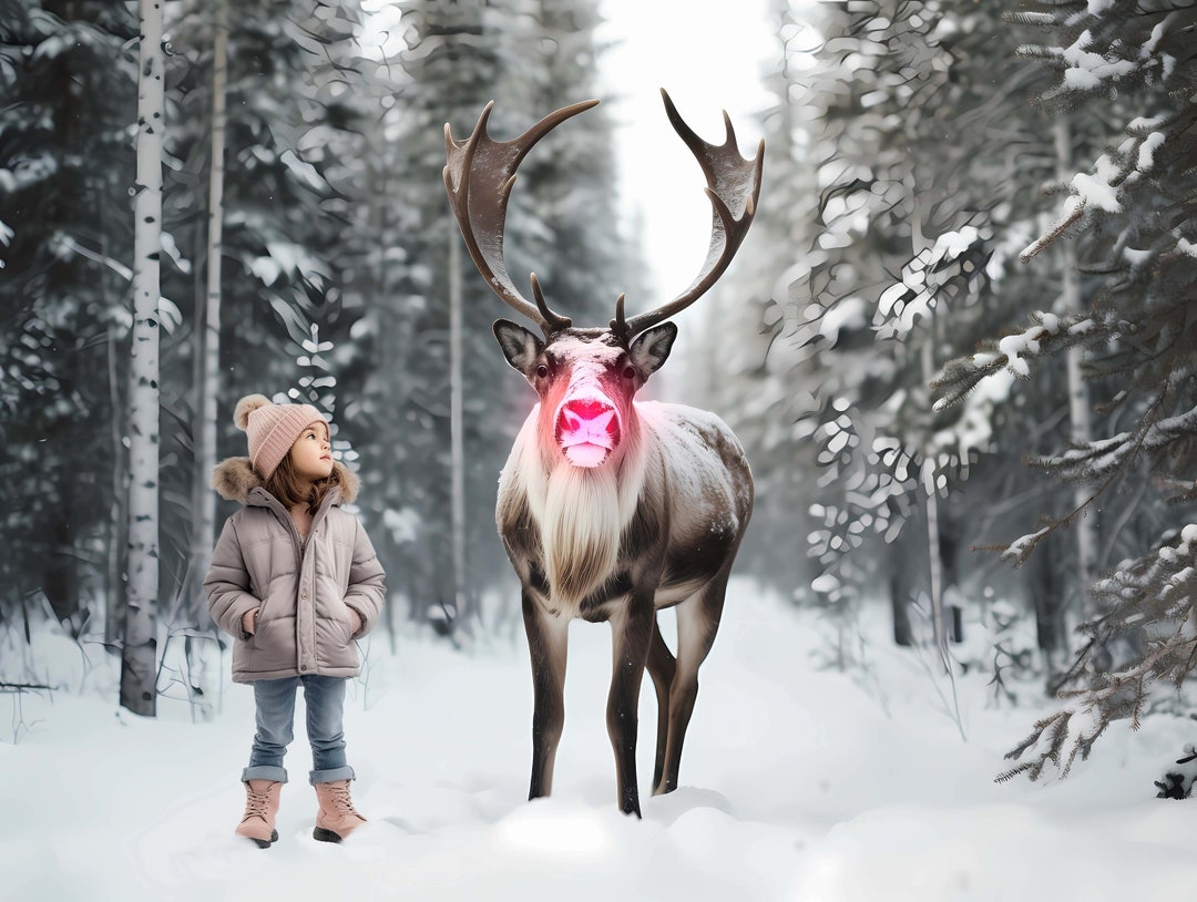 2 Christmas Rudolph Reindeer Background Backdrop for Photography