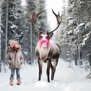 2 Christmas Rudolph Reindeer Background Backdrop for Photography, Winter Holiday Child Kids Adults Snow Santa Overlay Digital Downloads