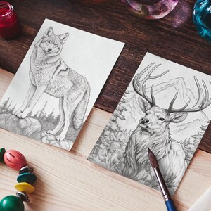 May include: Two black and white pencil drawings on white paper. The first drawing is of a wolf standing on a rock with trees in the background. The second drawing is of a deer with large antlers standing in a forest with mountains in the background.