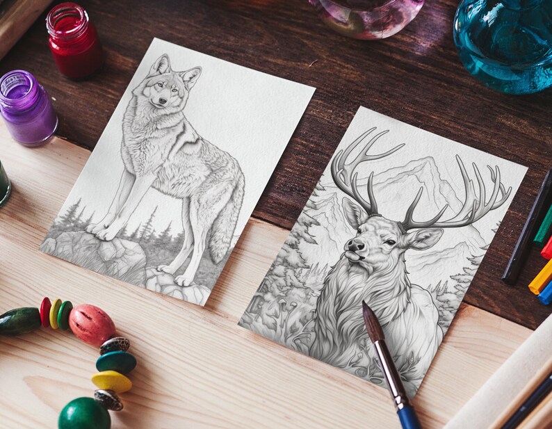 May include: Two black and white pencil drawings on white paper. The first drawing is of a wolf standing on a rock with trees in the background. The second drawing is of a deer with large antlers standing in a forest with mountains in the background.