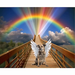 Rainbow Bridge Clouds Angel Wings Pet Loss Memorial Background Backdrop Loss of Pet Dog Cat Digital Download, 5 White Wings Included