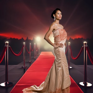 5 Red Carpet Event Background Backdrop Rooms for Photography, Party Celebration Birthdays Formal Digital Downloads , Photoshop