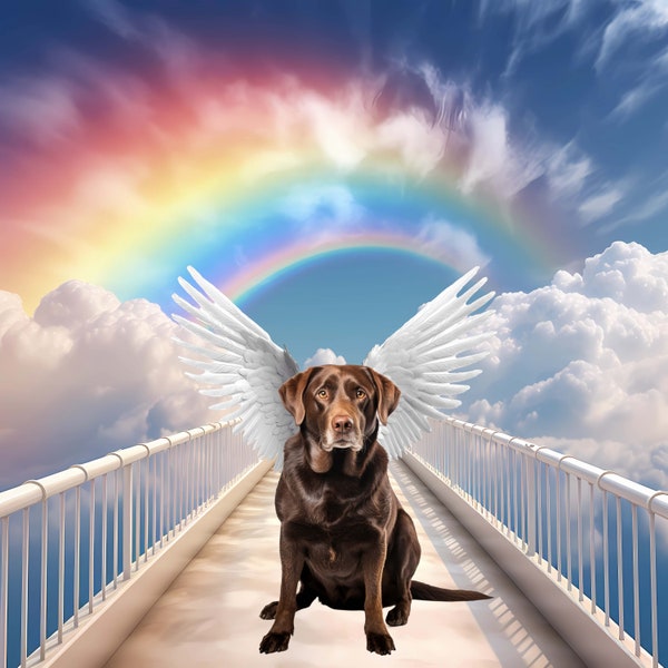 4 Rainbow White Bridge Clouds Angel Wings Pet Loss Memorial Background Backdrop, Sympathy Dog Cat Digital Downloads, 5 White Wings Included