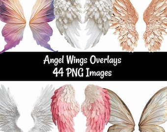 Angel Wing Overlays Feather wing PNG Images Digital Download wing Photography Rainbow bridge Photo Effects Bat Wing Fantasy Maternity