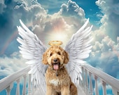 Rainbow White Bridge Memorial Background Backdrop, Gold Clouds Angel Heaven Pet Loss Sympathy Dog Cat Digital , Wings and Halos Included